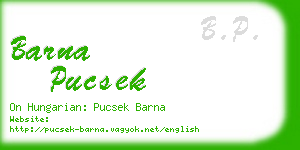 barna pucsek business card